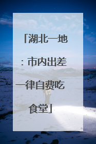 湖北一地：市内出差一律自费吃食堂