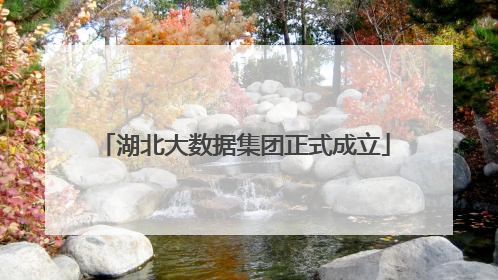 湖北大数据集团正式成立