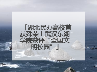 湖北民办高校首获殊荣！武汉东湖学院获评“全国文明校园”