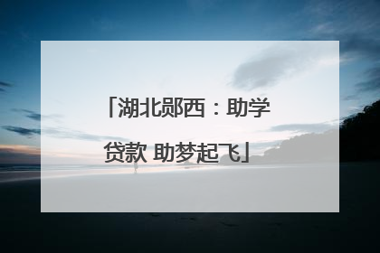 湖北郧西：助学贷款 助梦起飞