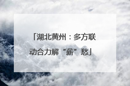 湖北黄州：多方联动合力解“薪”愁