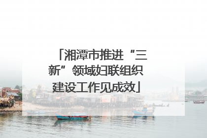 湘潭市推进“三新”领域妇联组织建设工作见成效