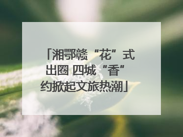 湘鄂赣“花”式出圈 四城“香”约掀起文旅热潮