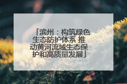 滨州：构筑绿色生态防护体系 推动黄河流域生态保护和高质量发展
