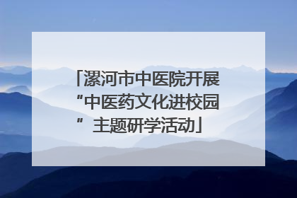 漯河市中医院开展“中医药文化进校园”主题研学活动