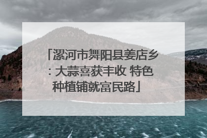 漯河市舞阳县姜店乡：大蒜喜获丰收 特色种植铺就富民路