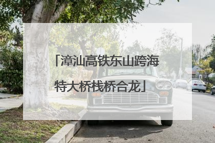 漳汕高铁东山跨海特大桥栈桥合龙
