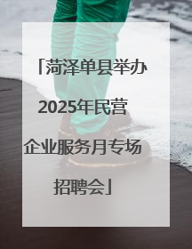 菏泽单县举办2025年民营企业服务月专场招聘会