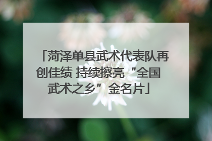 菏泽单县武术代表队再创佳绩 持续擦亮“全国武术之乡”金名片