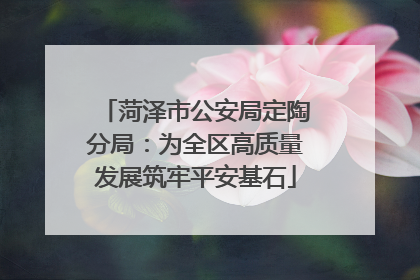 菏泽市公安局定陶分局：为全区高质量发展筑牢平安基石