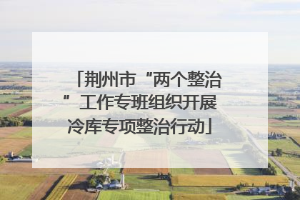 荆州市“两个整治”工作专班组织开展冷库专项整治行动