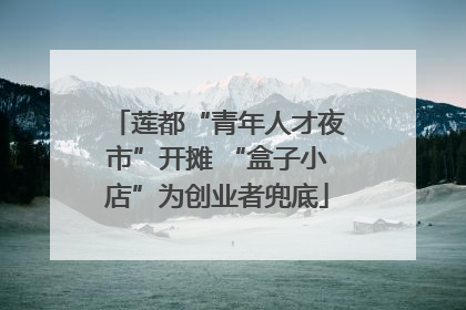 莲都“青年人才夜市”开摊 “盒子小店”为创业者兜底