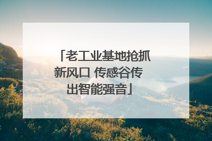 老工业基地抢抓新风口 传感谷传出智能强音