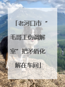 老河口市“毛哥工伤调解室”把矛盾化解在车间