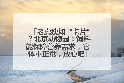 老虎瘦如“卡片”？北京动物园：饲料能保障营养需求，它体重正常，放心吧