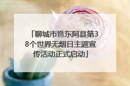 聊城市暨东阿县第38个世界无烟日主题宣传活动正式启动