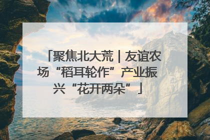 聚焦北大荒｜友谊农场“稻耳轮作”产业振兴“花开两朵”
