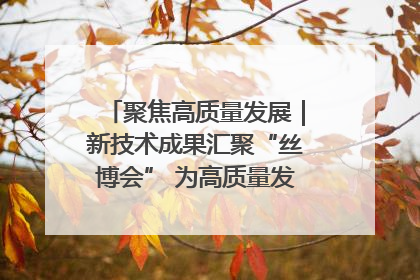 聚焦高质量发展｜新技术成果汇聚“丝博会” 为高质量发展注入新动能