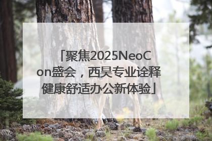 聚焦2025NeoCon盛会，西昊专业诠释健康舒适办公新体验