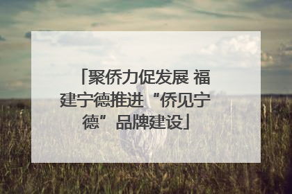 聚侨力促发展 福建宁德推进“侨见宁德”品牌建设