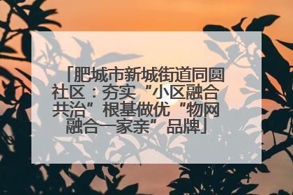 肥城市新城街道同圆社区：夯实“小区融合共治”根基做优“物网融合一家亲”品牌