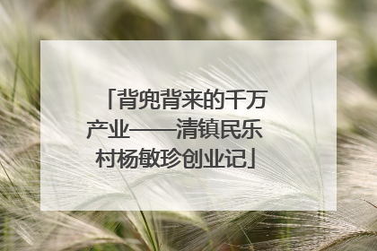 背兜背来的千万产业——清镇民乐村杨敏珍创业记