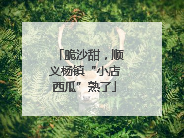 脆沙甜，顺义杨镇“小店西瓜”熟了