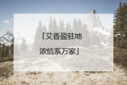 艾香盈驻地 浓情系万家