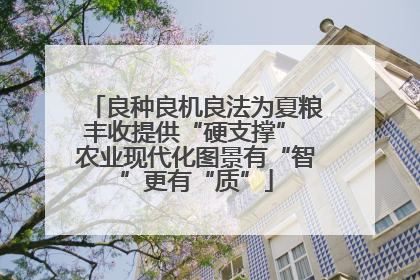 良种良机良法为夏粮丰收提供“硬支撑” 农业现代化图景有“智”更有“质”