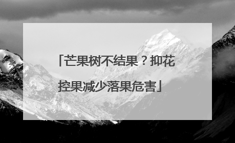 芒果树不结果？抑花控果减少落果危害