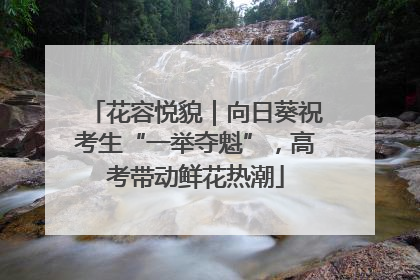 花容悦貌｜向日葵祝考生“一举夺魁”，高考带动鲜花热潮