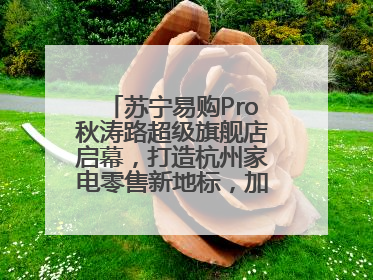苏宁易购Pro秋涛路超级旗舰店启幕，打造杭州家电零售新地标，加速“大店攻略”全省布局