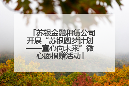苏银金融租赁公司开展“苏银圆梦计划——童心向未来”微心愿捐赠活动
