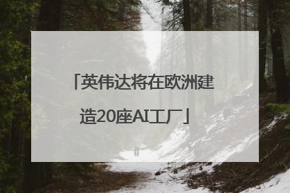 英伟达将在欧洲建造20座AI工厂