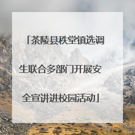 茶陵县秩堂镇选调生联合多部门开展安全宣讲进校园活动