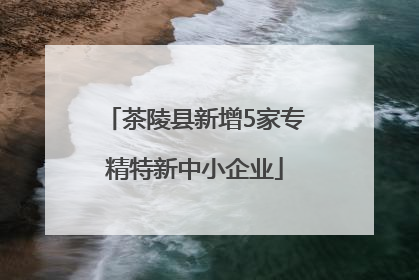 茶陵县新增5家专精特新中小企业