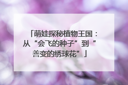 萌娃探秘植物王国：从“会飞的种子”到“善变的绣球花”