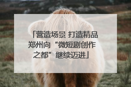 营造场景 打造精品 郑州向“微短剧创作之都”继续迈进