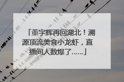 董宇辉再回湖北！溯源顶流美食小龙虾，直播间人数爆了……