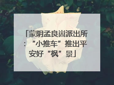 蒙阴孟良崮派出所：“小推车”推出平安好“枫”景