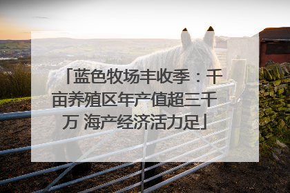 蓝色牧场丰收季：千亩养殖区年产值超三千万 海产经济活力足