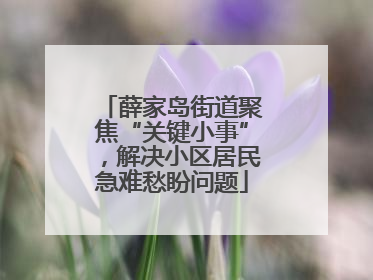 薛家岛街道聚焦“关键小事”，解决小区居民急难愁盼问题