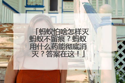 蚂蚁怕啥怎样灭蚂蚁不留痕？蚂蚁用什么药能彻底消灭？答案在这！