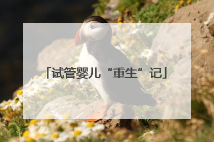 试管婴儿“重生”记