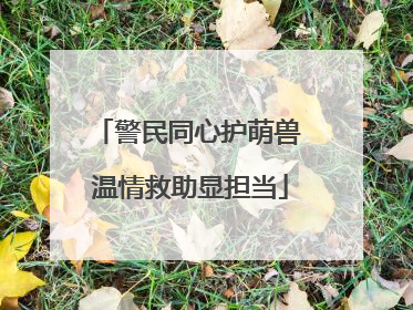 警民同心护萌兽 温情救助显担当