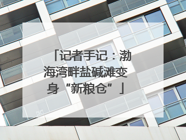 记者手记：渤海湾畔盐碱滩变身“新粮仓”