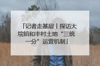 记者走基层丨探访大垸镇和丰村土地“三统一分”运营机制
