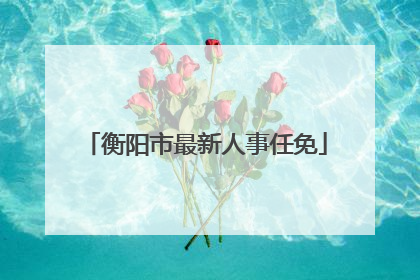 衡阳市最新人事任免