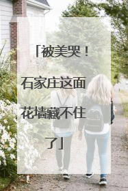被美哭！石家庄这面花墙藏不住了