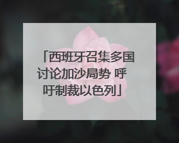 西班牙召集多国讨论加沙局势 呼吁制裁以色列